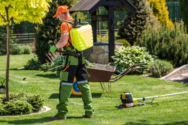 Professional Pest Control in River Forest, IL